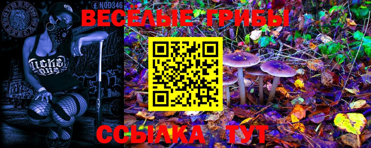 Псилоцибиновые грибы мухоморы Кыштым